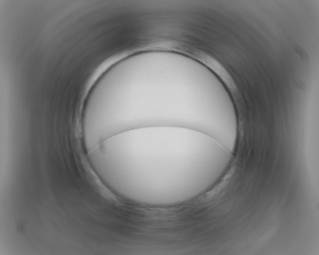 X0000113541436200910091234