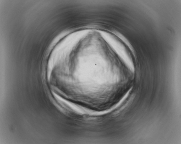 X0000113541437200910091234