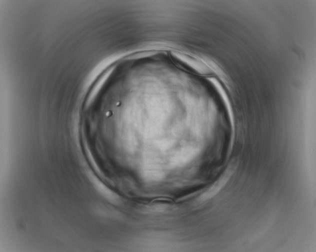 X0000113541438200910091234