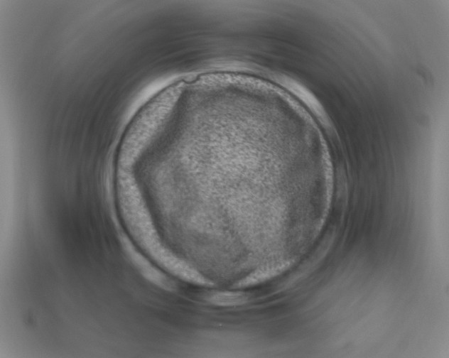 X0000113541439200910091234