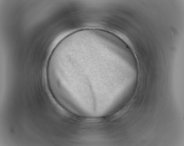 X0000113541440200910091234