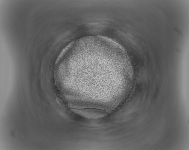 X0000113541441200910091233