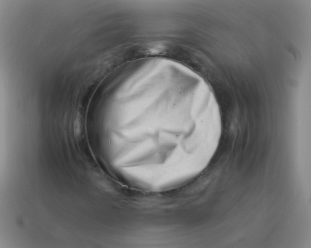 X0000113541442200910091233