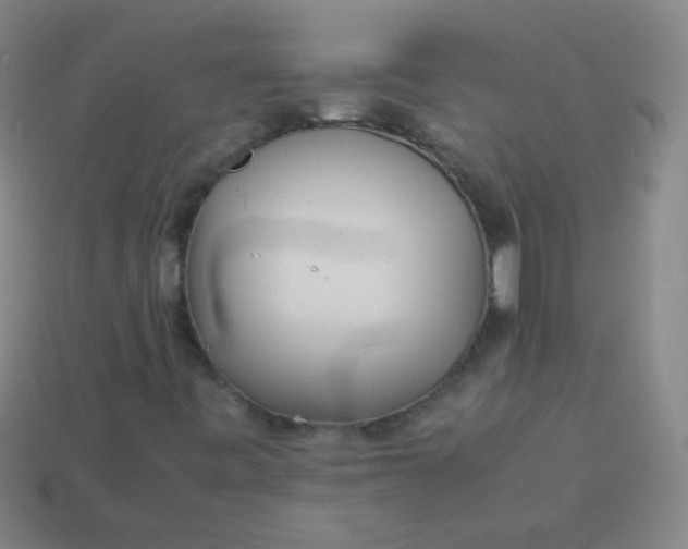 X0000113541443200910091233