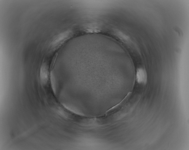 X0000113541444200910091233