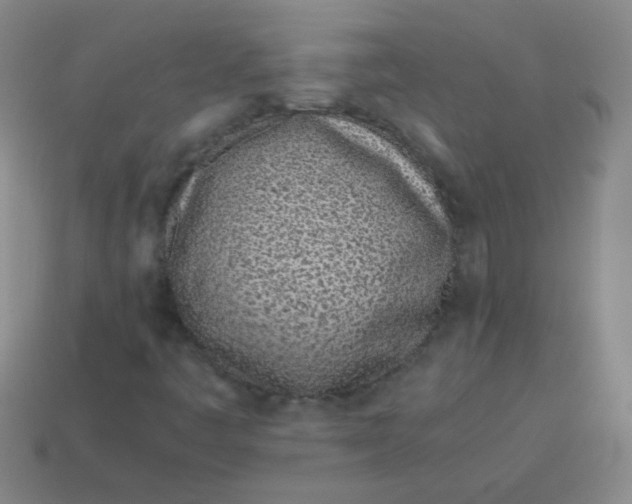 X0000113541445200910091233