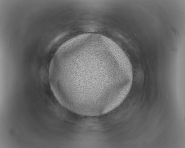 X0000113541446200910091233