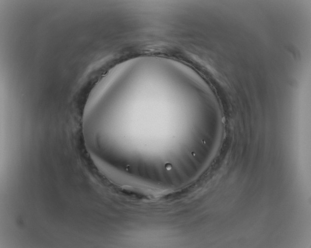 X0000113541447200910091233