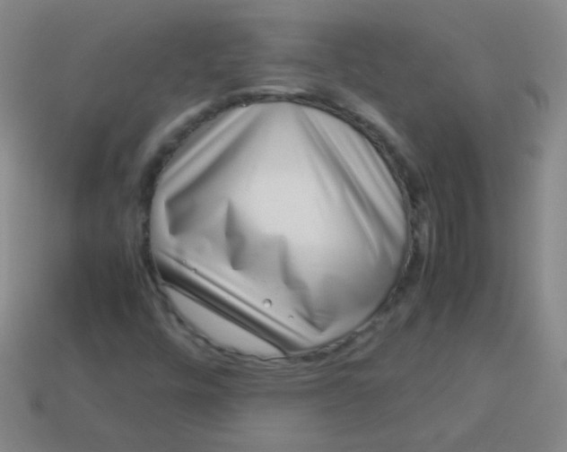 X0000113541448200910091233