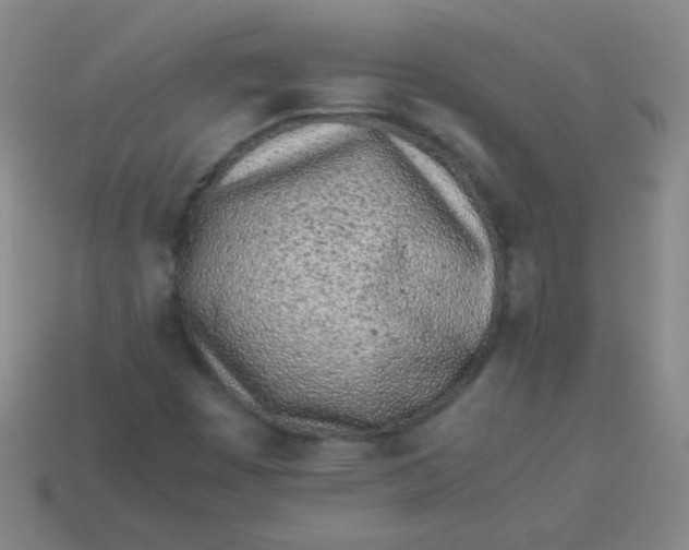 X0000113541449200910091233