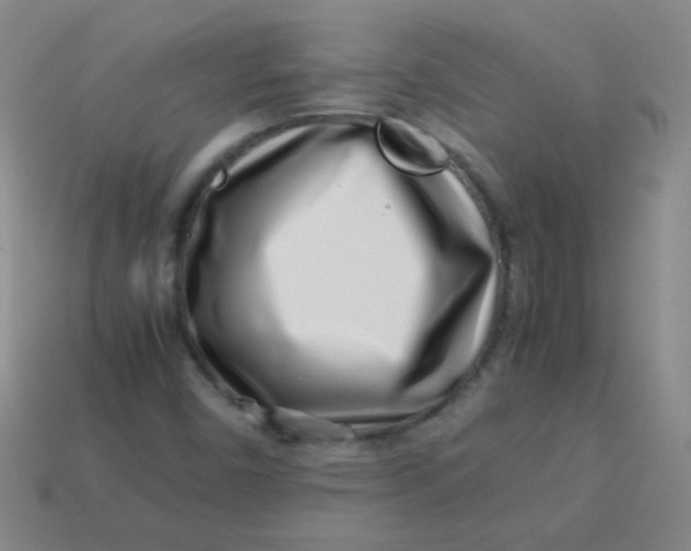 X0000113541450200910091233