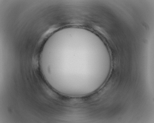 X0000113541451200910091233