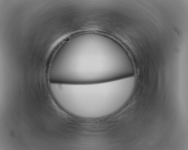 X0000113541452200910091233