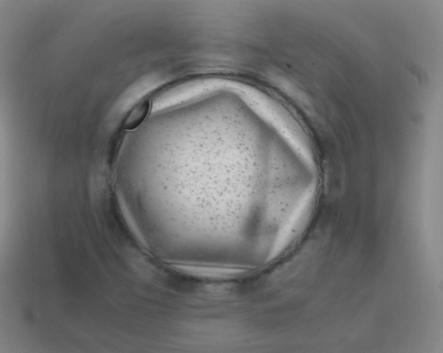 X0000113541453200910091233