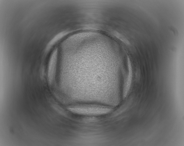 X0000113541454200910091233