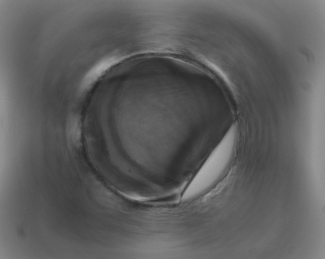 X0000113541455200910091233