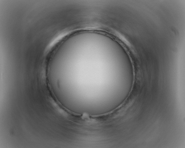 X0000113541456200910091233