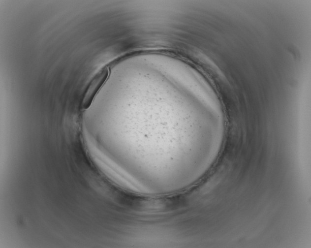 X0000113541457200910091233