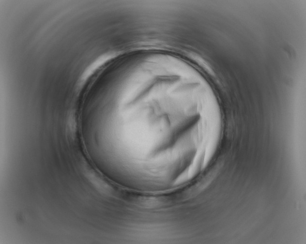 X0000113541458200910091233