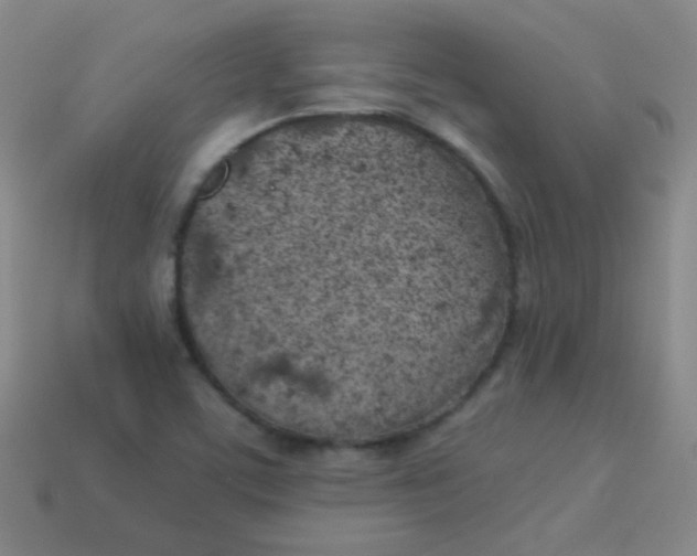 X0000113541459200910091233