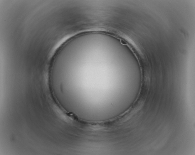 X0000113541460200910091233