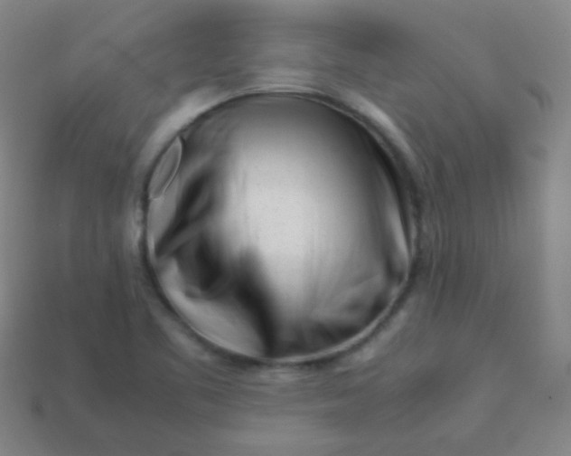 X0000113541461200910091233