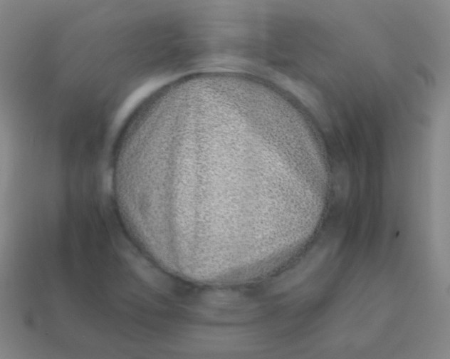 X0000113541462200910091233