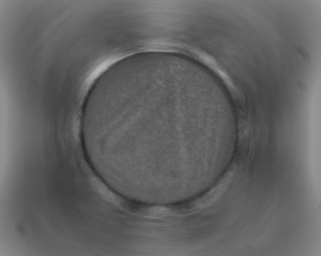 X0000113541463200910091233