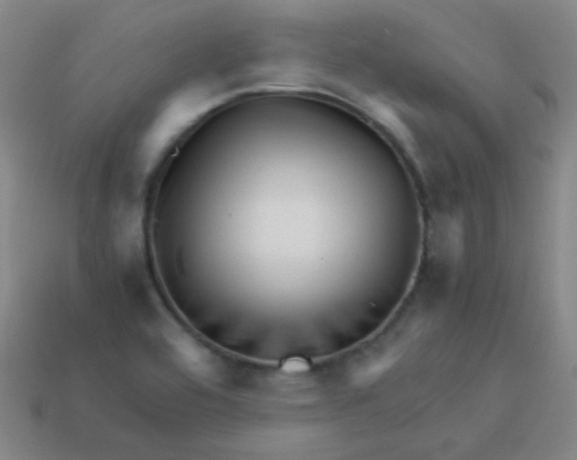 X0000113541464200910091233