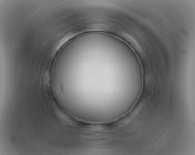 X0000113541465200910091233