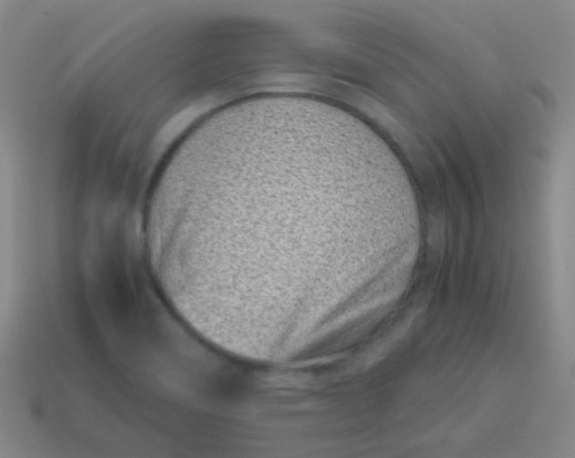 X0000113541466200910091233