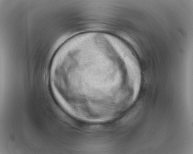 X0000113541467200910091233