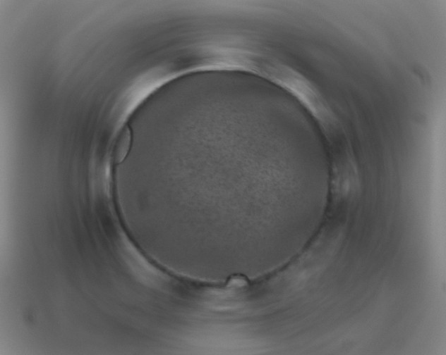 X0000113541468200910091233