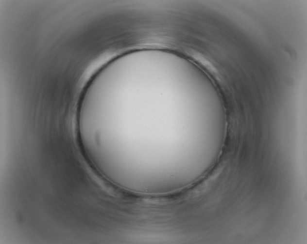 X0000113541469200910091233