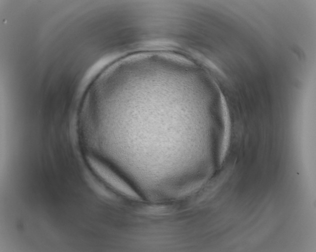 X0000113541470200910091233