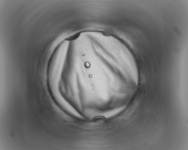 X0000113541471200910091233