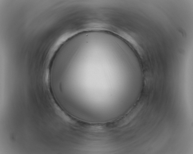 X0000113541472200910091233