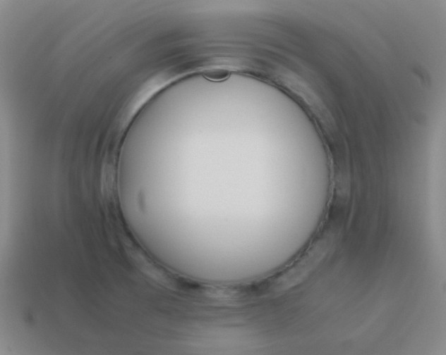 X0000113541473200910091233