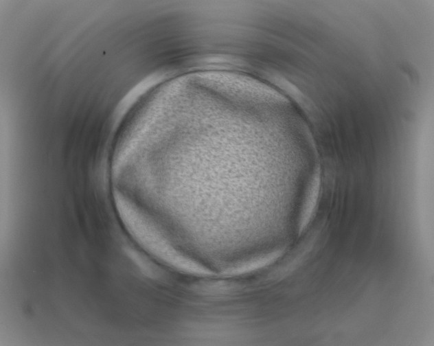 X0000113541474200910091233