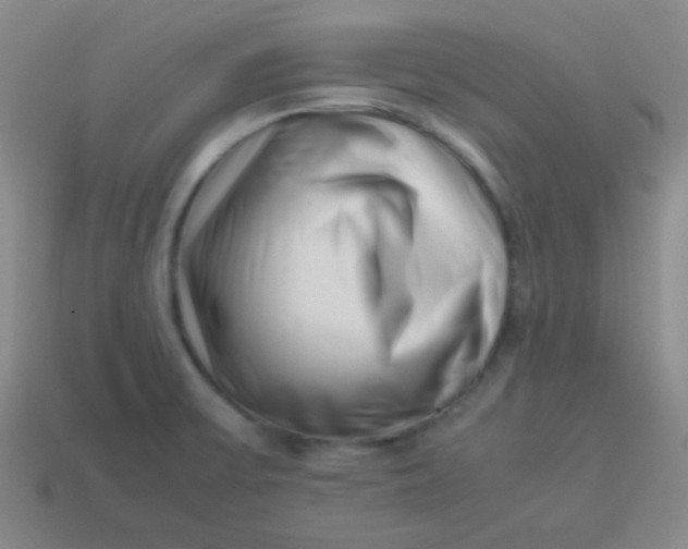 X0000113541475200910091233