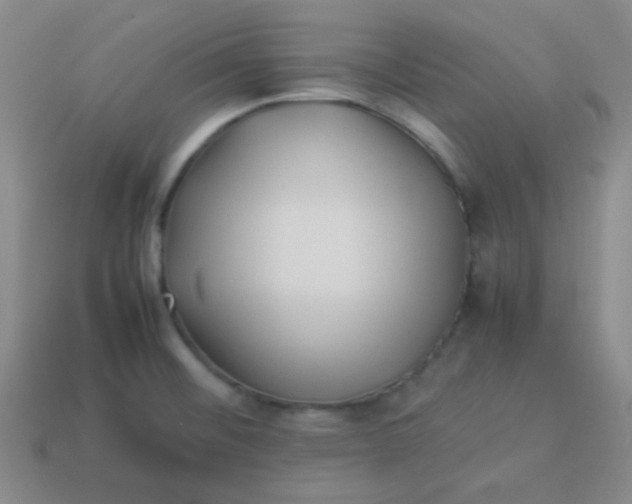 X0000113541476200910091233