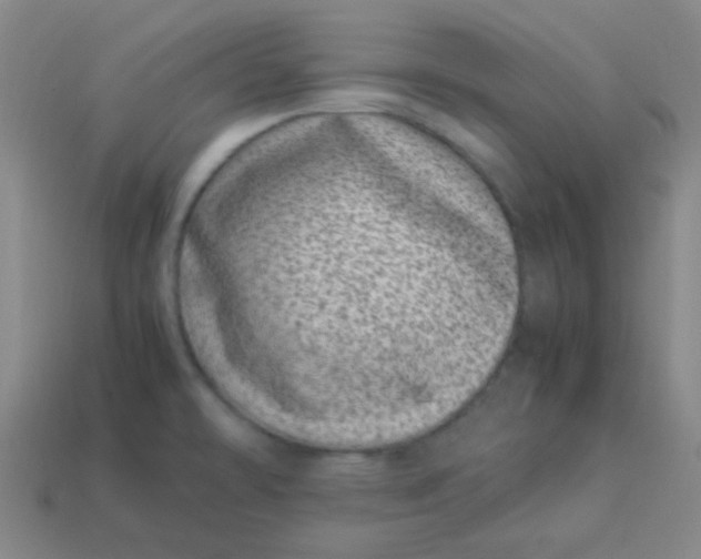 X0000113541478200910091233