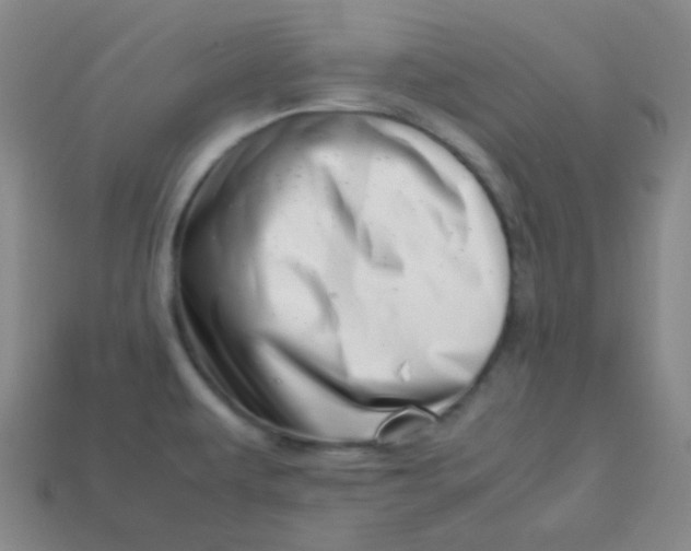 X0000113541479200910091233