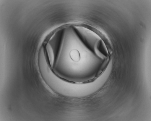 X0000113541480200910091233