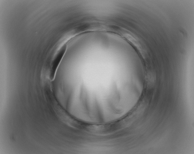 X0000113541481200910091233