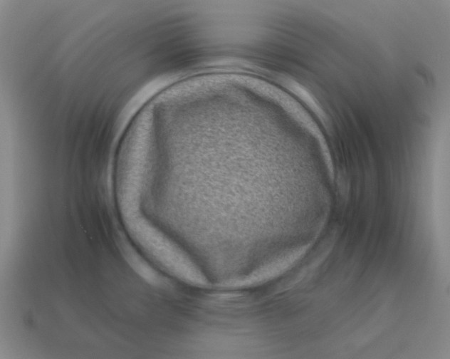 X0000113541482200910091233