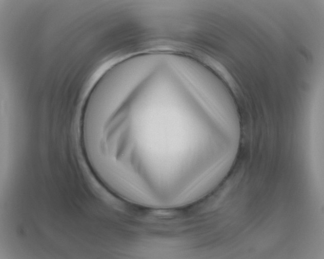 X0000113541483200910091233