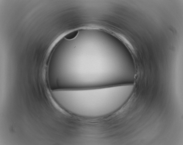 X0000113541484200910091233