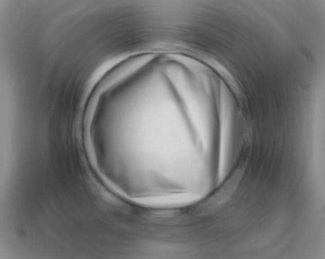 X0000113541486200910091233