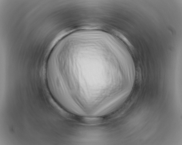 X0000113541487200910091233